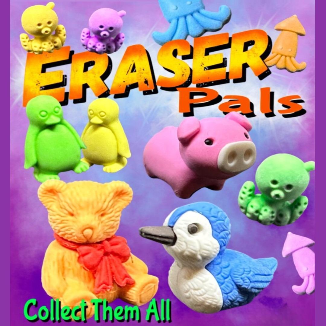 Pink display card for eraser pals. 