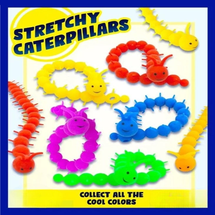 White display card for stretchy caterpillars